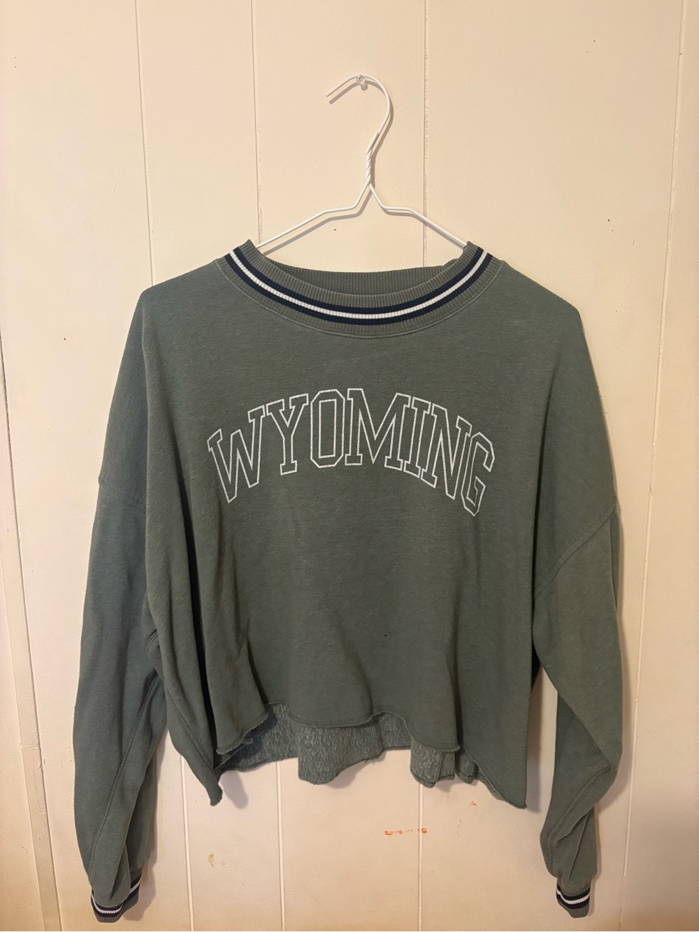American Eagle Outfitters Sage Green WYOMING Crewneck Sweatshirt